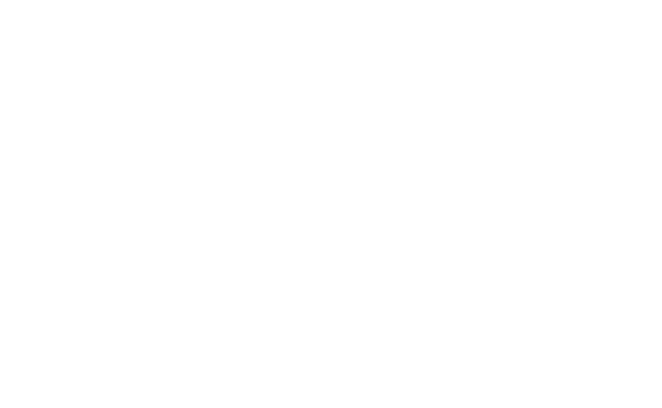 Kress Kleen